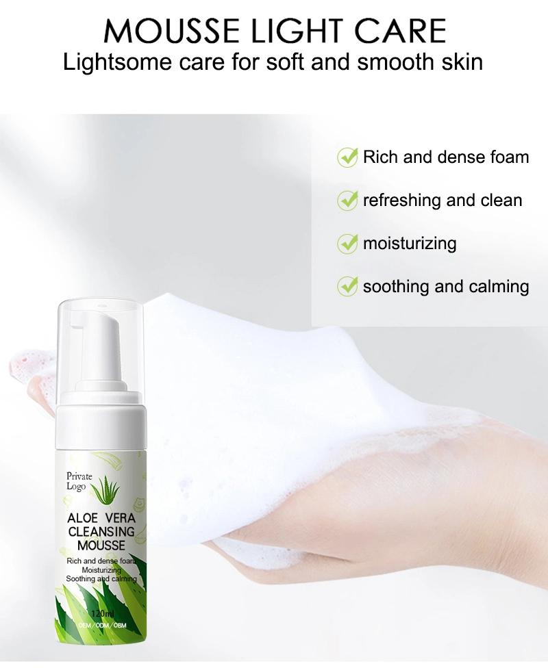 Customize Logo Aloe Vera Cleanser Deep Cleansing Mousse Oil Control Foam Herbal Skin Care Product